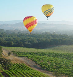 Hot air balloons